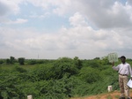 9874gt111b_scrubland_shrubland.gif