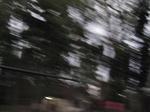 13403IMG_3767.JPG
