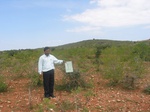 8829gt001-shrubland-short.gif