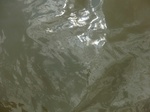 58621CIMG3071.JPG