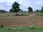 33463RIMG0203.JPG