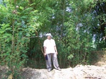 1776224042008(22).JPG
