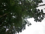 45490CIMG2575.JPG