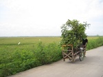 14326IMG_4667.JPG