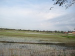 15667IMG_4739.JPG