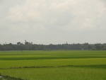 22028DSC00148.JPG