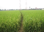 15708IMG_4790.JPG