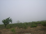 3880RIMG0184.JPG