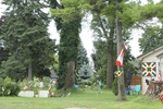 2024-10-10_17-07-47_9A315932-CB9F-4E20-8ECA-269F87A94238.jpeg