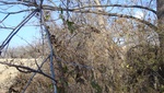9709DSC01385.JPG