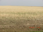 29846CIMG1299.JPG