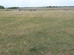 28764P1040308.JPG