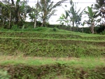 30744CIMG0584.JPG