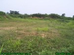 837R0015383_tag.jpg