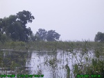 1438R0015168_tag.jpg