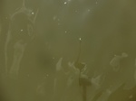 58564CIMG3014.JPG