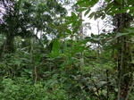 45979CIMG0268.JPG