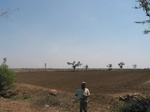 9290gt050b-soils-black-cotton.gif