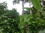 45587CIMG2672.JPG