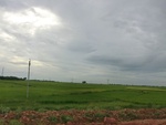 55946CIMG6676.JPG