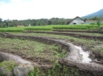 14587IMG_4954.JPG