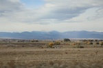 2022-11-02_16-09-59_3E5840DD-4DEE-433C-8A6D-555C7CD519C8.jpeg