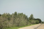 2024-08-05_14-43-41_DA2A31E9-17BC-4D80-9B0E-B613AD3A0F98.jpeg