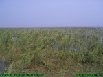 1386R0015142_tag.jpg