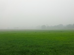 40059CIMG9122.JPG