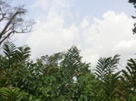 49517CIMG5854.JPG