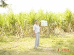 6556gt057-cropland-1.jpg