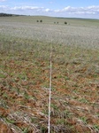 51282Peter1001_L1.JPG