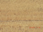 29808CIMG1197.JPG