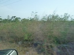 51503P1000662.JPG