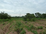 18410P1000246.JPG