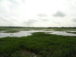 24517DSC00435.JPG