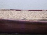 1115R0015295_small.jpg