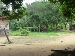 46875CIMG3212.JPG
