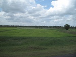 33260IMG_5590.JPG
