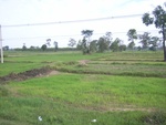 33450RIMG0190.JPG