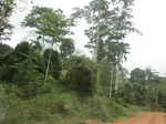 47595CIMG3932.JPG