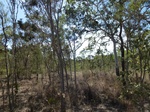2012-08-28_20-34-46_P1010134.jpg