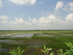 24615DSC00834.JPG