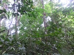 45643CIMG2728.JPG