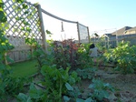 21675P1010584.JPG