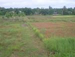 33619RIMG0284.JPG