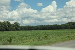 2024-10-10_17-12-24_913A584E-1282-4DA8-A85B-A84DDA17BD08.jpeg