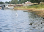 58323CIMG2772.JPG