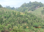53763CIMG7163.JPG