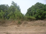 3996RIMG0300.JPG